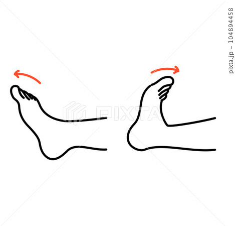 つま先の曲げ伸ばす運動 つま先の曲げ伸ばす運動 104894458