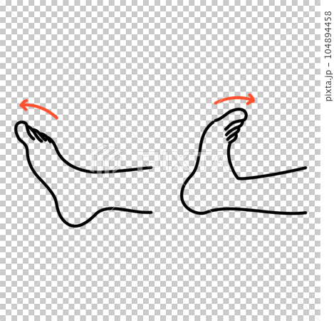 つま先の曲げ伸ばす運動 つま先の曲げ伸ばす運動 104894458