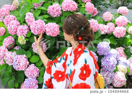 満開の紫陽花と着物姿の外国人女性　 104894668