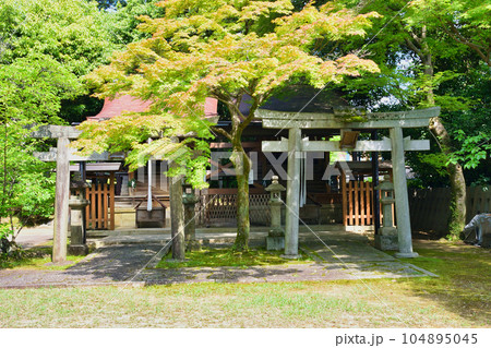 京都　新日吉神宮 境内社の樹下社（豊国神社）愛宕神社　秋葉神社 104895045