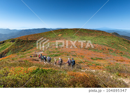 栗駒山全山紅葉と天狗平付近登山道 104895347