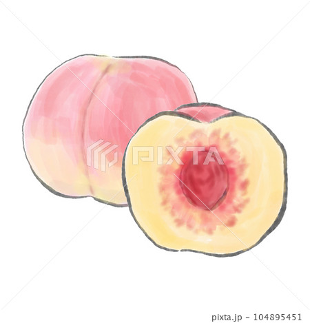 熟した美味しそうな桃の水彩イラスト/断面/種 熟した美味しそうな桃の水彩イラスト/断面/種 104895451