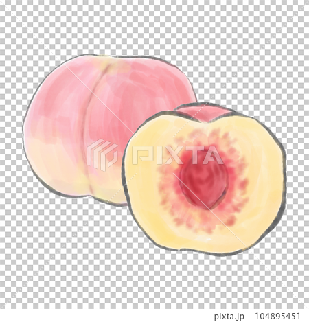 熟した美味しそうな桃の水彩イラスト/断面/種 熟した美味しそうな桃の水彩イラスト/断面/種 104895451
