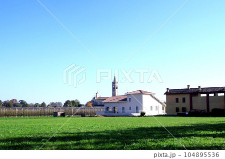 農村地帯の教会と葡萄畑　イタリア 104895536