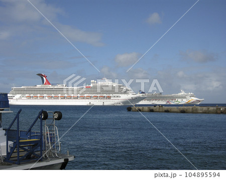 停泊している豪華客船 104895594