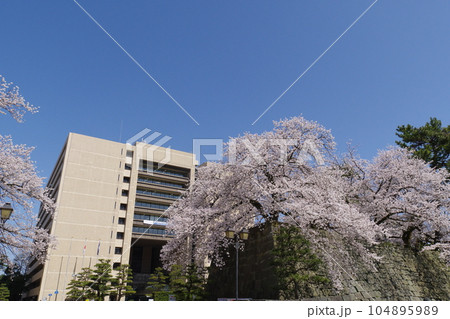 福井県庁　 104895989