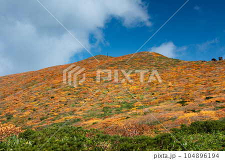 全山紅葉の栗駒山 104896194