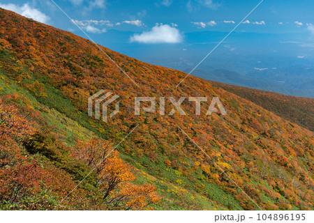 神の絨毯全山紅葉の栗駒山 104896195