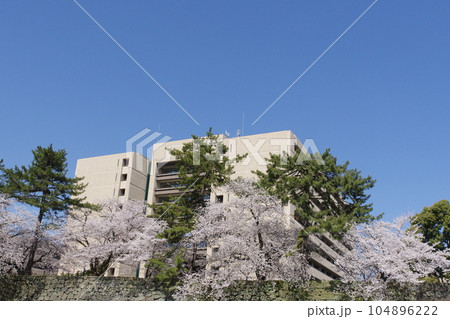 福井県庁 福井県庁 104896222