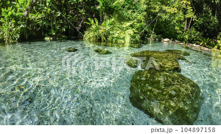 water surface stream and forest 104897158