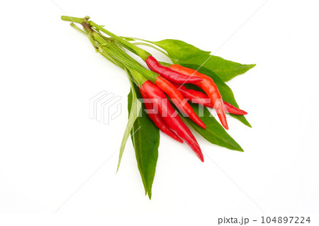 唐辛子 104897224