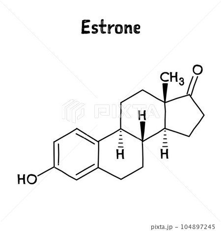 Estrone molecular structure. Estrone is a steroid, a weak estrogen, and a minor female sex hormone. .Vector structural formula of chemical compound. Black pen Hand-drawn style. 104897245