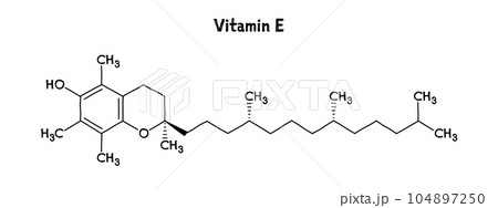 Vitamin E molecular structure. Vitamin E is a fat-soluble, essential nutrient with anti-inflammatory properties. .Vector structural formula of chemical compound. Black pen Hand-drawn style. Vitamin E molecular structure. Vitamin E is a fat-soluble, essential nutrient with anti-inflammatory properties. .Vector structural formula of chemical compound. Black pen Hand-drawn style. 104897250