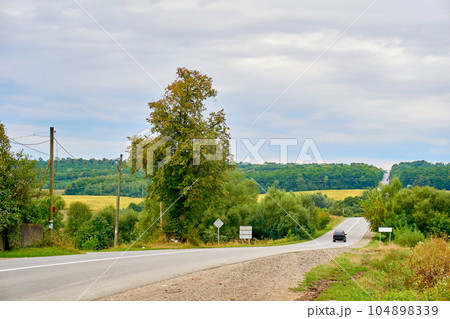 Travelling by car. Asphalt road among summer fields of green plantings Travelling by car. Asphalt road among summer fields of green plantings 104898339