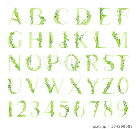 Alphabet Letter Decorated with Green Foliage and Leaf Vector Set Alphabet Letter Decorated with Green Foliage and Leaf Vector Set 104899085