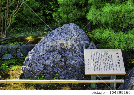 神奈川県　寒川町　寒川神社　境内のさざれ石 104899166