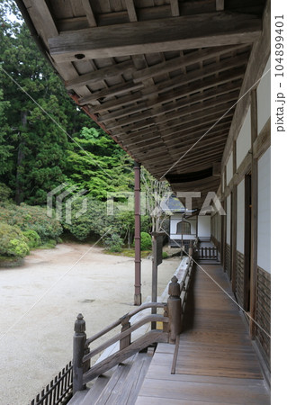 高野山　金剛峰寺 104899401