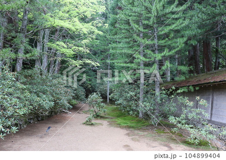 高野山　金剛峰寺 104899404