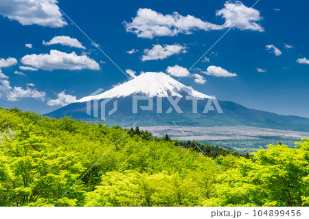 《山梨県》初夏の富士山・新緑の二十曲峠 104899456