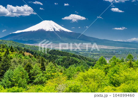 《山梨県》初夏の富士山・新緑の二十曲峠 104899460