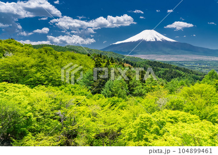 《山梨県》初夏の富士山・新緑の二十曲峠 《山梨県》初夏の富士山・新緑の二十曲峠 104899461