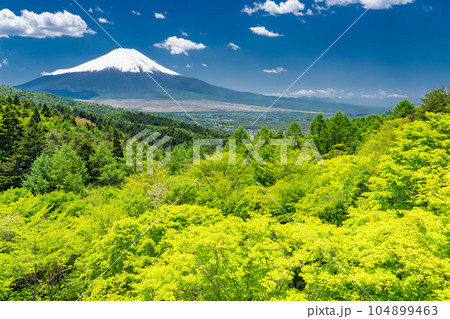 《山梨県》初夏の富士山・新緑の二十曲峠 《山梨県》初夏の富士山・新緑の二十曲峠 104899463