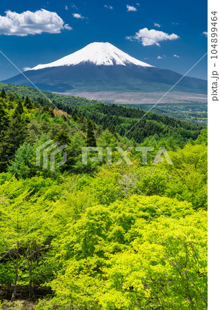 《山梨県》初夏の富士山・新緑の二十曲峠 《山梨県》初夏の富士山・新緑の二十曲峠 104899464