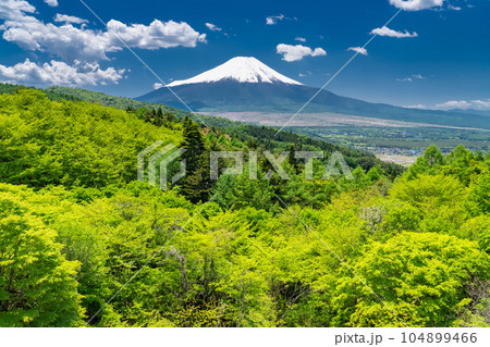 《山梨県》初夏の富士山・新緑の二十曲峠 104899466