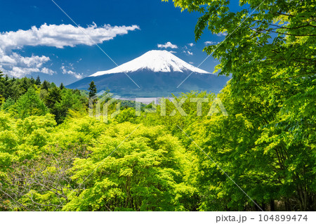 《山梨県》初夏の富士山・新緑の二十曲峠 104899474