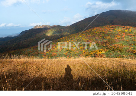 白銀草原付近から見る雲影の紅葉した栗駒 104899643