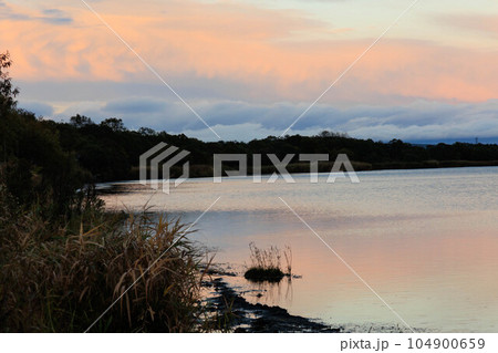 日に焼けるウトナイ湖「秋の北海道」 日に焼けるウトナイ湖「秋の北海道」 104900659