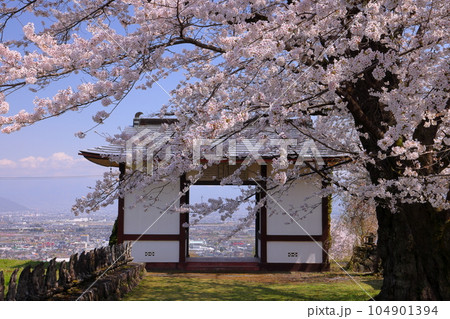 山梨県南アルプス市上宮地 甲府盆地を一望する丘陵に建つ大神山傳嗣院の山門と満開のソメイヨシノ 山梨県南アルプス市上宮地 甲府盆地を一望する丘陵に建つ大神山傳嗣院の山門と満開のソメイヨシノ 104901394