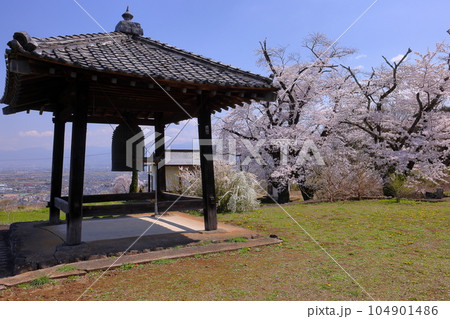 山梨県南アルプス市上宮地 甲府盆地を一望する丘陵に建つ大神山傳嗣院の鐘楼と満開のソメイヨシノ 山梨県南アルプス市上宮地 甲府盆地を一望する丘陵に建つ大神山傳嗣院の鐘楼と満開のソメイヨシノ 104901486