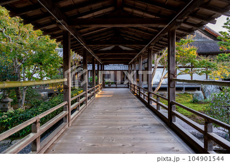 寺院の回廊 104901544