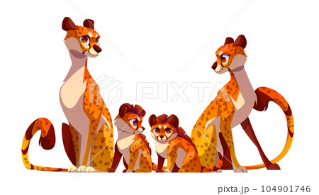 Cheetah cat family isolated vector illustration Cheetah cat family isolated vector illustration 104901746