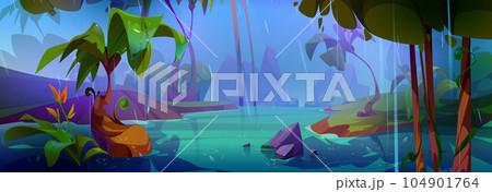Rainy day in tropical forest Rainy day in tropical forest 104901764