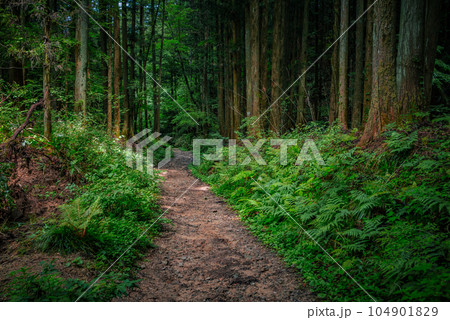 馬籠峠【サムライロード】 馬籠峠【サムライロード】 104901829