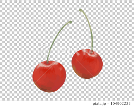 Illustration of cherry with watercolor touch 104902225