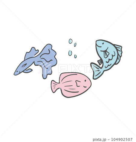 3匹の魚のイラスト 3匹の魚のイラスト 104902507