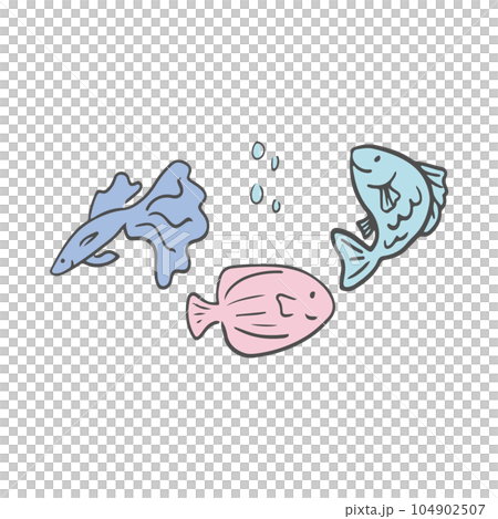 三條魚的插圖 104902507