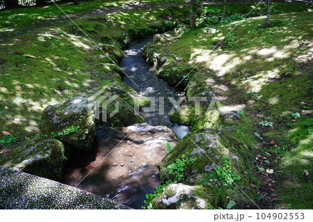 千歳市名水ふれあい公園に木漏れ日が差し込む 千歳市名水ふれあい公園に木漏れ日が差し込む 104902553