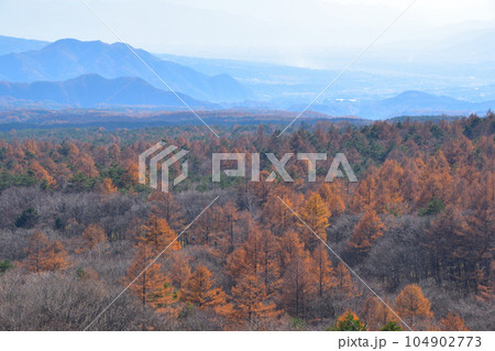 秋 清里高原 秋 清里高原 104902773
