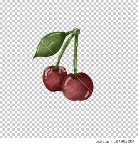 Group of cherry with one leaf.	 104902804