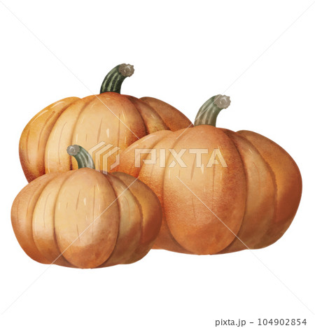 Group Of Pumpkins, element illustration PNG. 104902854