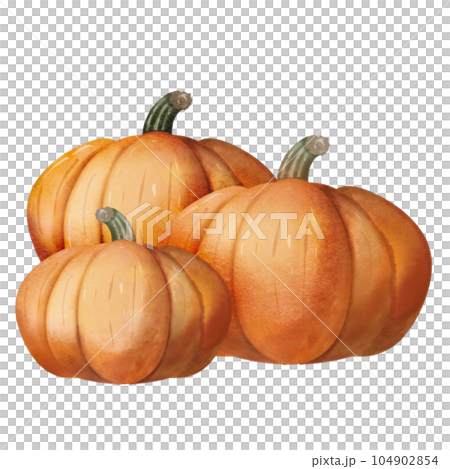 Group Of Pumpkins, element illustration PNG. 104902854
