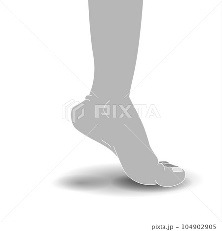 Foot on white background with shadow 104902905
