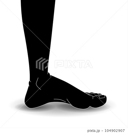 Human foot on a white background with shadow. 104902907