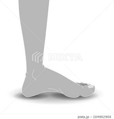Human foot on a white background with shadow. Human foot on a white background with shadow. 104902908