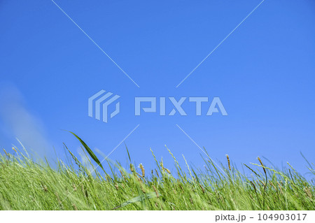 東京大田区の都市風景　多摩川緑地 104903017