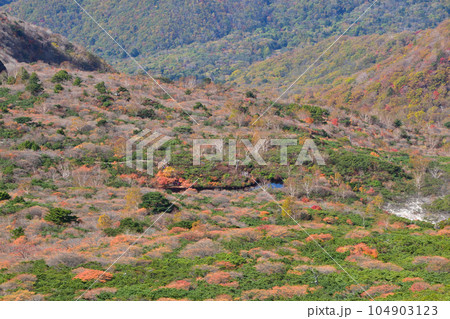秋　那須岳　姥ヶ平 104903123